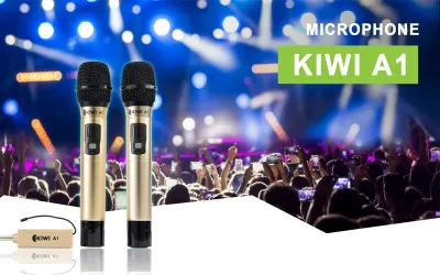 5 ĐIỀU CẦN BIẾT KHI MUA MICRO KHÔNG DÂY