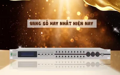 TỔNG HỢP CÁC DÒNG VANG SỐ HAY NHẤT HIỆN NAY