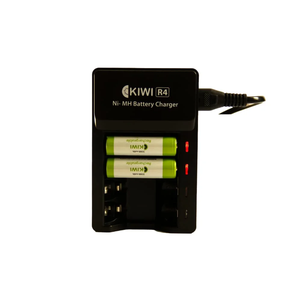 Dock sạc R4 tương thích với điện áp thông thường
