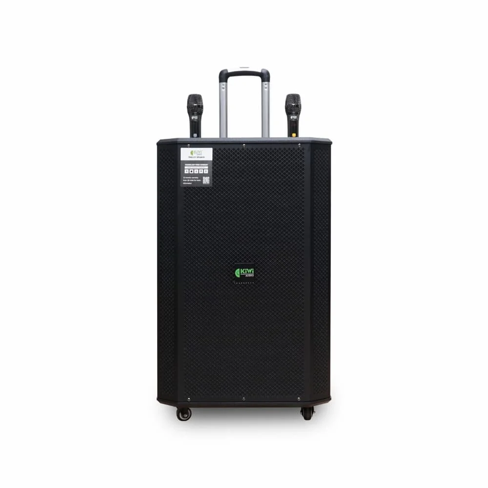 Loa di động KIWI K6015 (BASS 40)