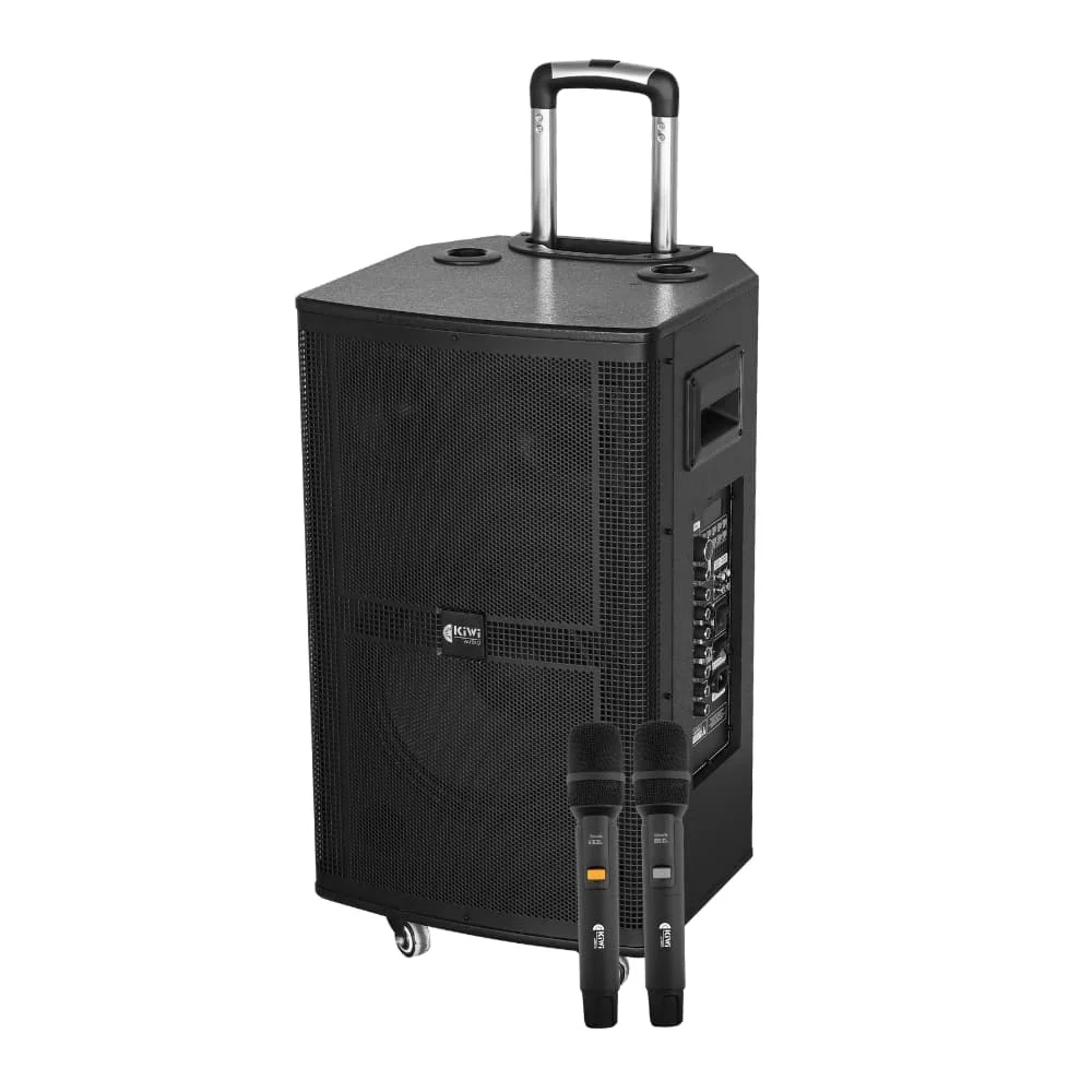 Loa di động KIWI KT312 (BASS 30)