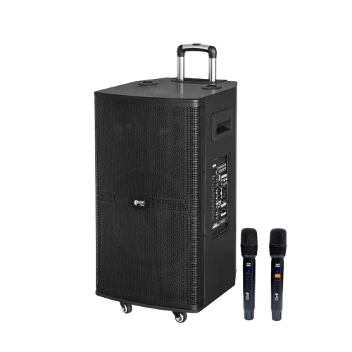 Loa di động KIWI KT315