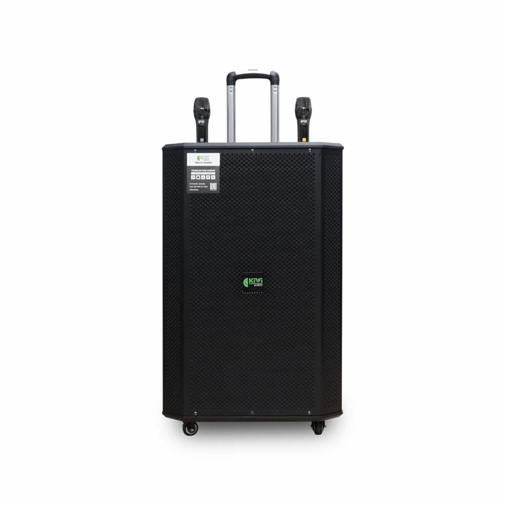Loa di động KIWI K6015 (BASS 40)