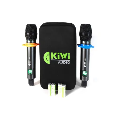 Loa tủ điện di động KIWI H315 Plus (2 BASS 40) thumb 4