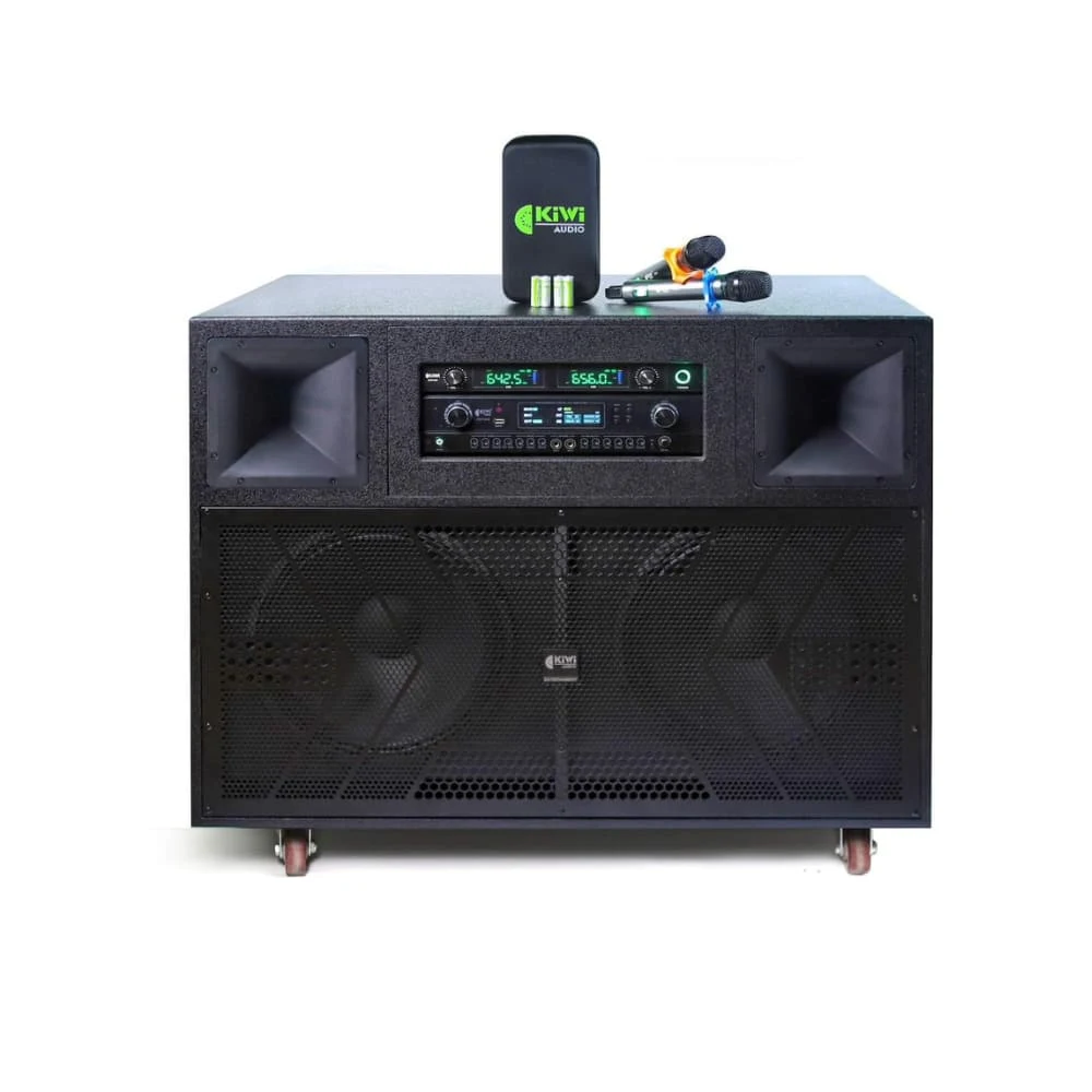 Loa tủ điện di động KIWI H315 Plus (2 BASS 40)