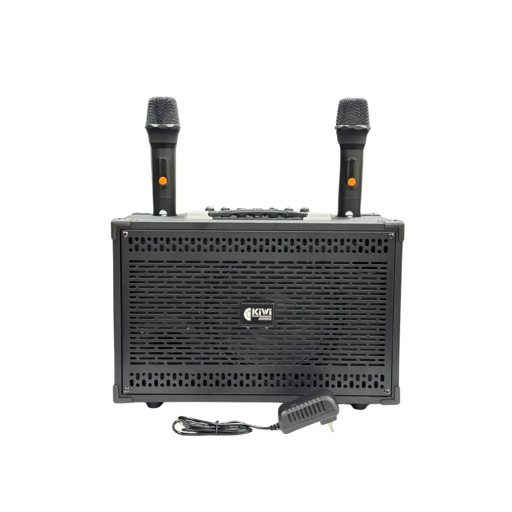 Loa xách tay di động KIWI XT208