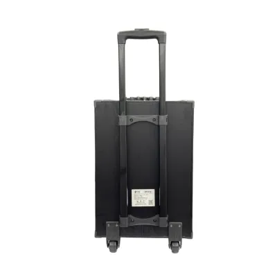 Loa xách tay di động KIWI XT312 thumb 7