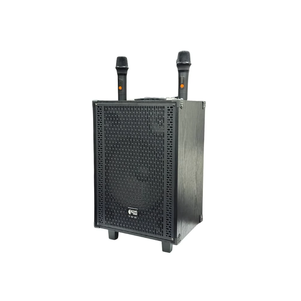 Loa xách tay Kiwi XT312