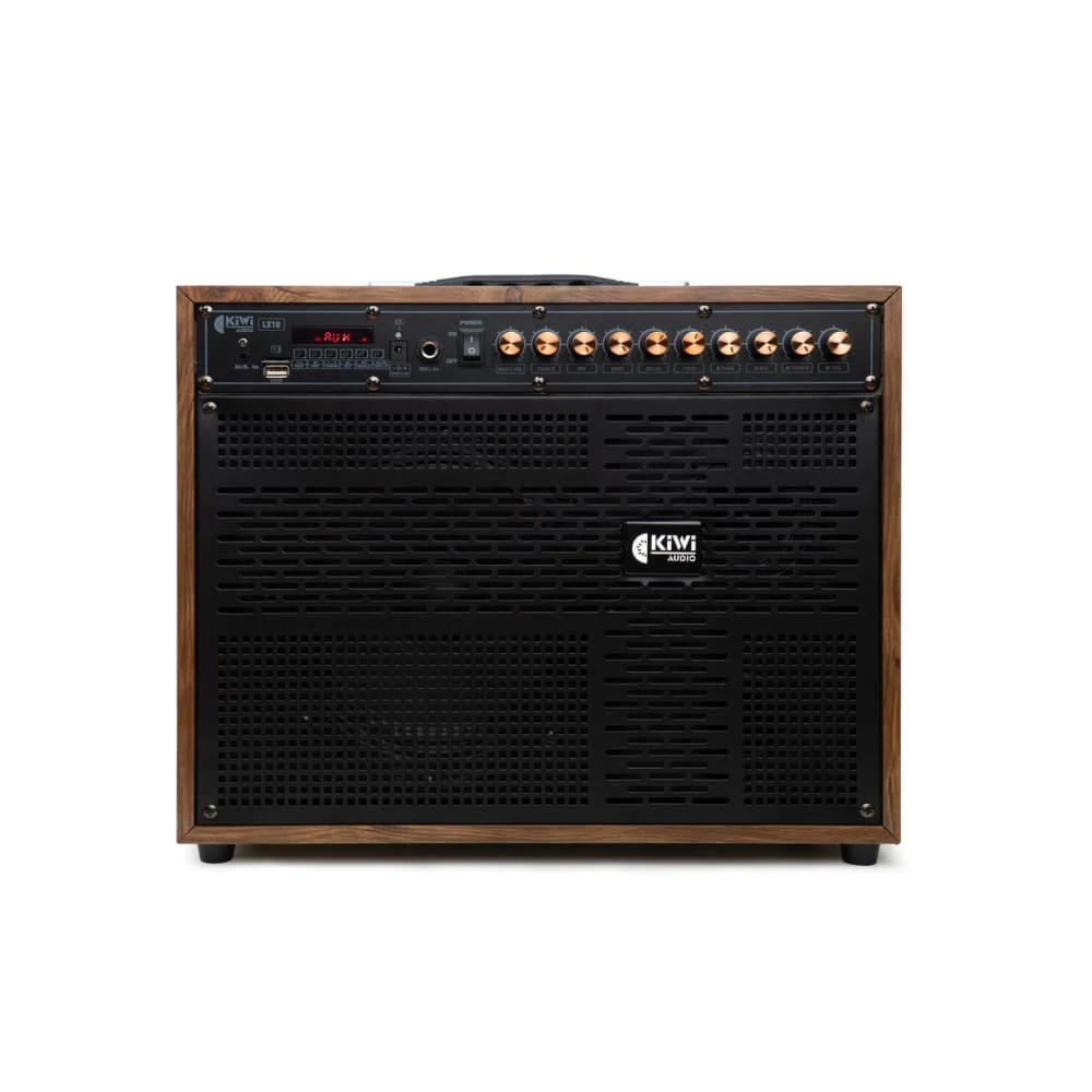 Loa di động KIWI LX10