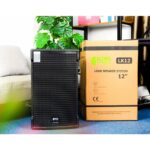 Loa FULL KIWI LK12 (BASS 30) - Ảnh 3